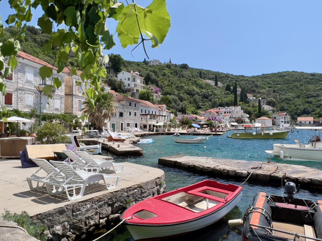 Rose, Montenegro